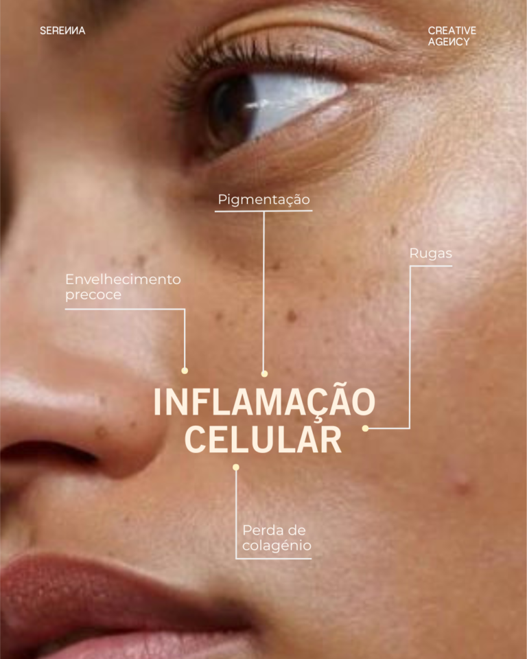Design sem nome - 2026-07-31T122035.809